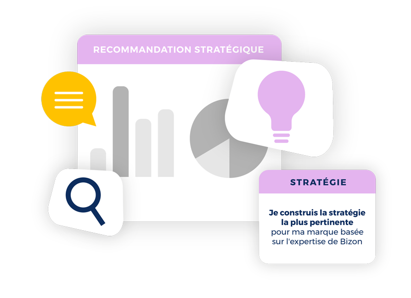 Bizon Consulting illustration
