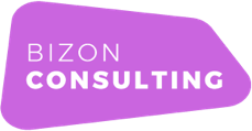 Bizon Consulting Logo