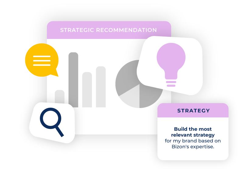 bizon consulting illustration